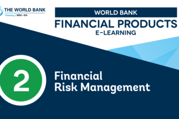 IBRD Financial Products 29