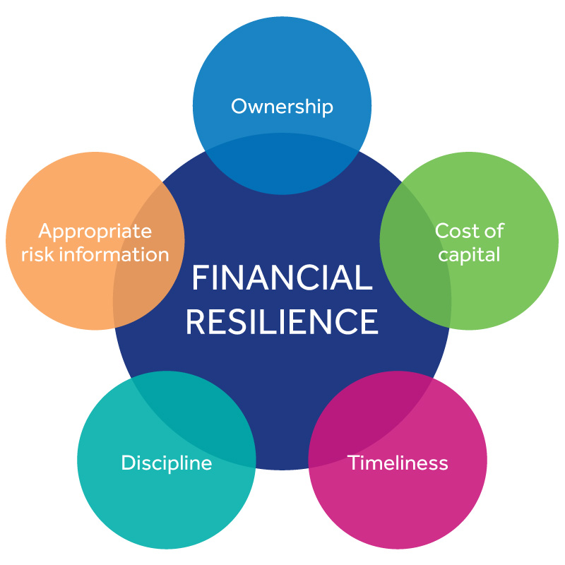 What is Disaster Risk Financing? 2