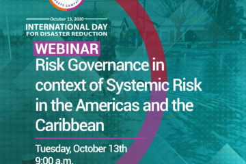 UNDRR ROAMC: Risk governance in context of systemic risk in the Americas and the Caribbean 49