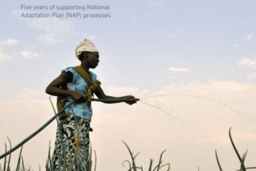 Resilience in Action: Five years of supporting National Adaptation Plan (NAP) processes 20