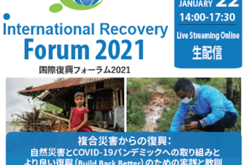 International Recovery Forum 2021: Building back better from compound disasters - Practical cases and lessons for recovery from natural hazards and COVID-19 41