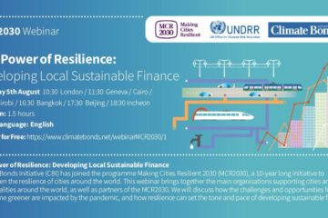 The Power of Resilience: Developing Local Sustainable Finance 39