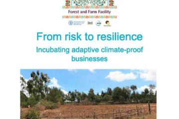 Training programme: From risk to resilience, incubating adaptive climate-proof businesses 3